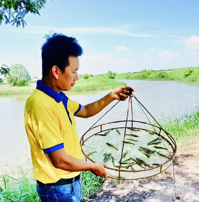 z6278422871893_d6a7c5a89d47eee4a9b7b78d844c3aea-101850_369-101851.jpg Đến nay, tỉnh Cà Mau có 2 chứng nhận quốc tế cho vùng chuyên canh lúa - tôm. Ảnh: Trọng Linh.