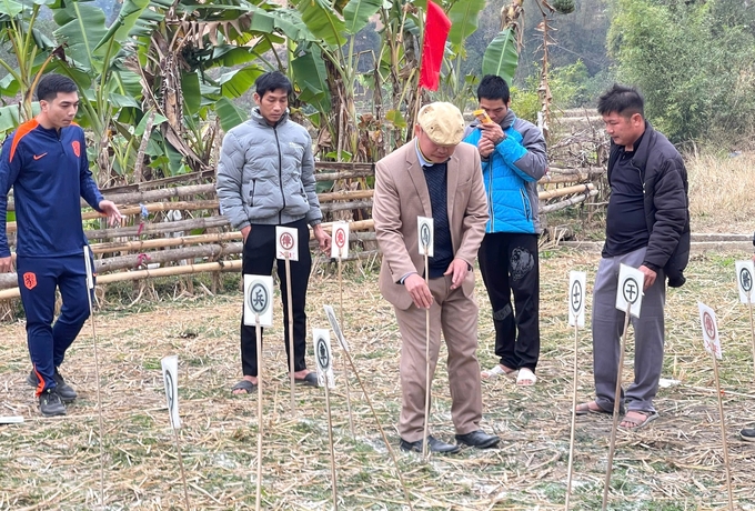 z6279070255229_075ce326af96187229749b7f0e59bfc7-202904_663.jpg Người dân chơi cờ tướng tại lễ hội. Ảnh: Quỳnh Anh.
