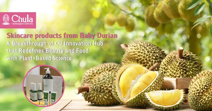 Công ty InnophytoTech (IPT) đã nghiên cứu để chiết xuất sầu riêng non thành một thành phần chăm sóc da. Ảnh: Chula.