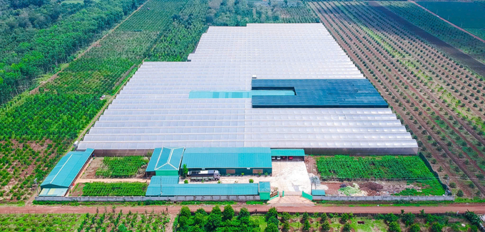 z6193518956180_70cdc9e216109aee88505d34485266b3-103447_606.jpg Nhà máy sản xuất quy mô, hiện đại của TCGroup Toàn Cầu tại Tây Nguyên. Ảnh: Tuấn Anh.