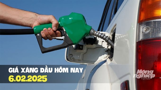 gia-xang-dau-hom-nay-6-2-2025-231134_851.jpg Cập nhật giá xăng dầu trong nước mới nhất ngày 6/2/2025