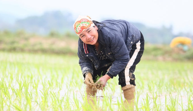 z6291630054128_31c9f261365d2efe3053a889117d007f-143538_166.jpg Nét rạng ngời thể hiện rõ trên từng khuôn mặt. Ảnh: Ngọc Linh.