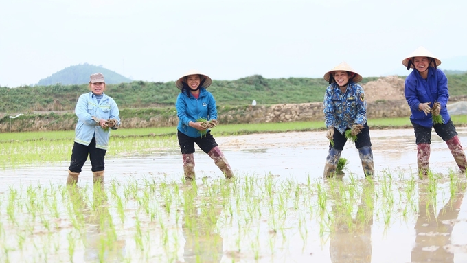 z6291636537080_35a25a5bde81ea541f6fe721a0b13b07-143539_193.jpg Nông dân Nghệ An hồ hởi xuống đồng. Ảnh: Ngọc Linh.