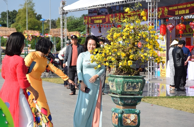 2-070200_879.jpg Đông đảo du khách tập trung về tại quảng trường trung tâm thị xã An Nhơn để thưởng ngoạn và chụp hình kỷ niệm bên những chậu mai dáng thế độc đáo. Ảnh: V.Đ.T.