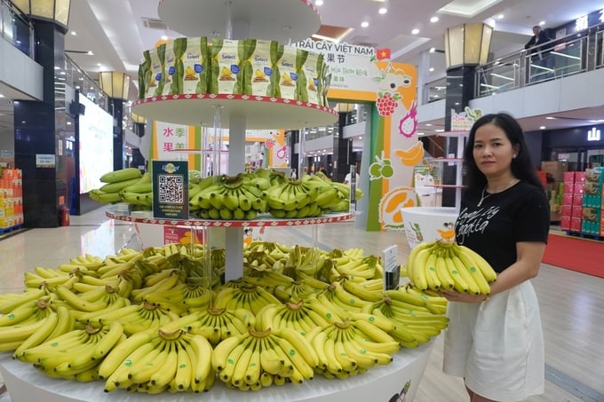 Gian hàng chuối của Công ty Cổ phần Nông nghiệp U&I (Unifarm) tại Lễ hội trái cây Việt Nam lần thứ nhất được tổ chức tại Bắc Kinh, Trung Quốc năm 2024. Ảnh: Hồng Thắm.