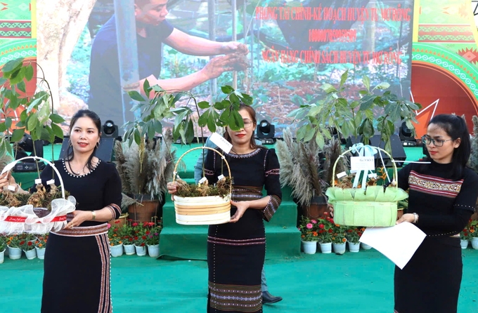 z6227998738007_01346e218044d45458a0663485fd579c-131038_503.jpg Sản phẩm sâm Ngọc Linh được Kon Tum phát triển mạnh mẽ trong thời gian qua. Ảnh: Tuấn Anh.