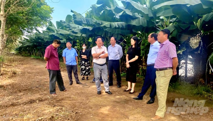 z6301524120582_88603f499aa0169355de2e861b9add8e-163259_906-163259.jpg Đoàn lãnh đạo Sở NN-PTNT tỉnh Đồng Nai và Viện KHKT nông nghiệp miền Nam tham quan các mô hình nghiên cứu thực nghiệm tại Trung tâm Nghiên cứu Thực nghiệm nông nghiệp Hưng Lộc. Ảnh: Minh Sáng.