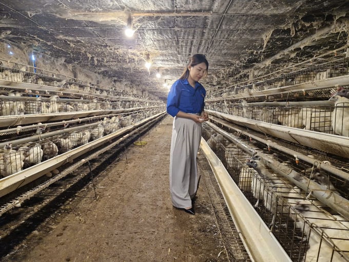 1-103407_510.jpg Trang trại nuôi gà ác của chị Nhân rộng khoảng 3.000m2 với quy mô 5.000 con cùng hệ thống chuồng trại được đầu tư bài bản. Ảnh: L.K.