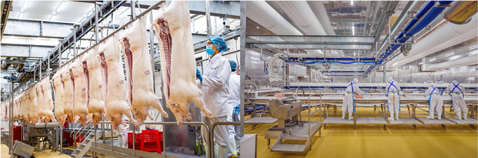 masan-consumer-dat-top-10-von-hoa-lon-nhat-san-chung-khoan-se-ipo-trong-2025-131409_311.jpg Thịt ủ mát chuẩn Âu của MEATDeli được sản xuất tại tổ hợp nhà máy hiện đại.
