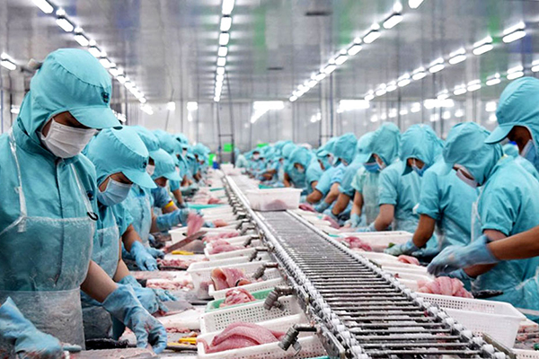 phat_20trin_20nganh_20ch_20bin_20thy_20sn_202021-2030_281_29-141321_815.jpeg Việt Nam đang là nhà cung cấp thủy hải sản lớn thứ 5 cho Singapore. Ảnh: Cục Thủy sản.