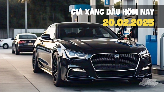 gia-xang-dau-hom-nay-214247_479.jpg Cập nhật giá xăng dầu trong nước mới nhất ngày 20/2/2025