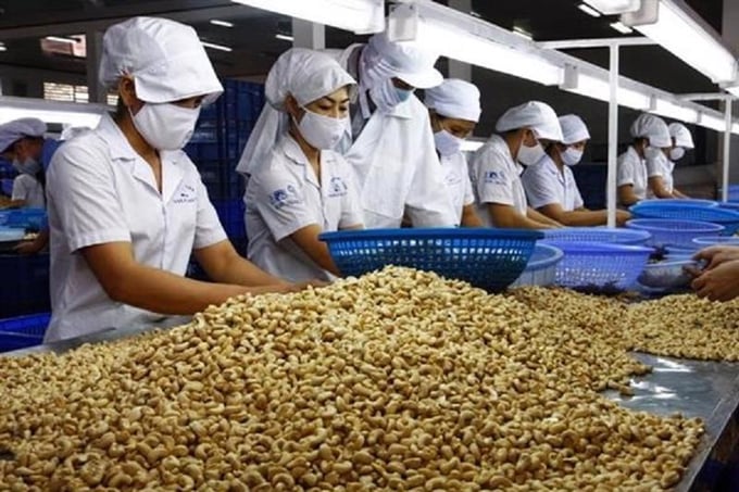 dia-phuong-lo-la-viec-tuan-thu-cac-quy-dinh-xuat-khau-vao-eu-094402_348.jpg Thị trường EU liên tục cập nhật, sửa đổi và bổ sung các quy định về nông sản, thực phẩm.
