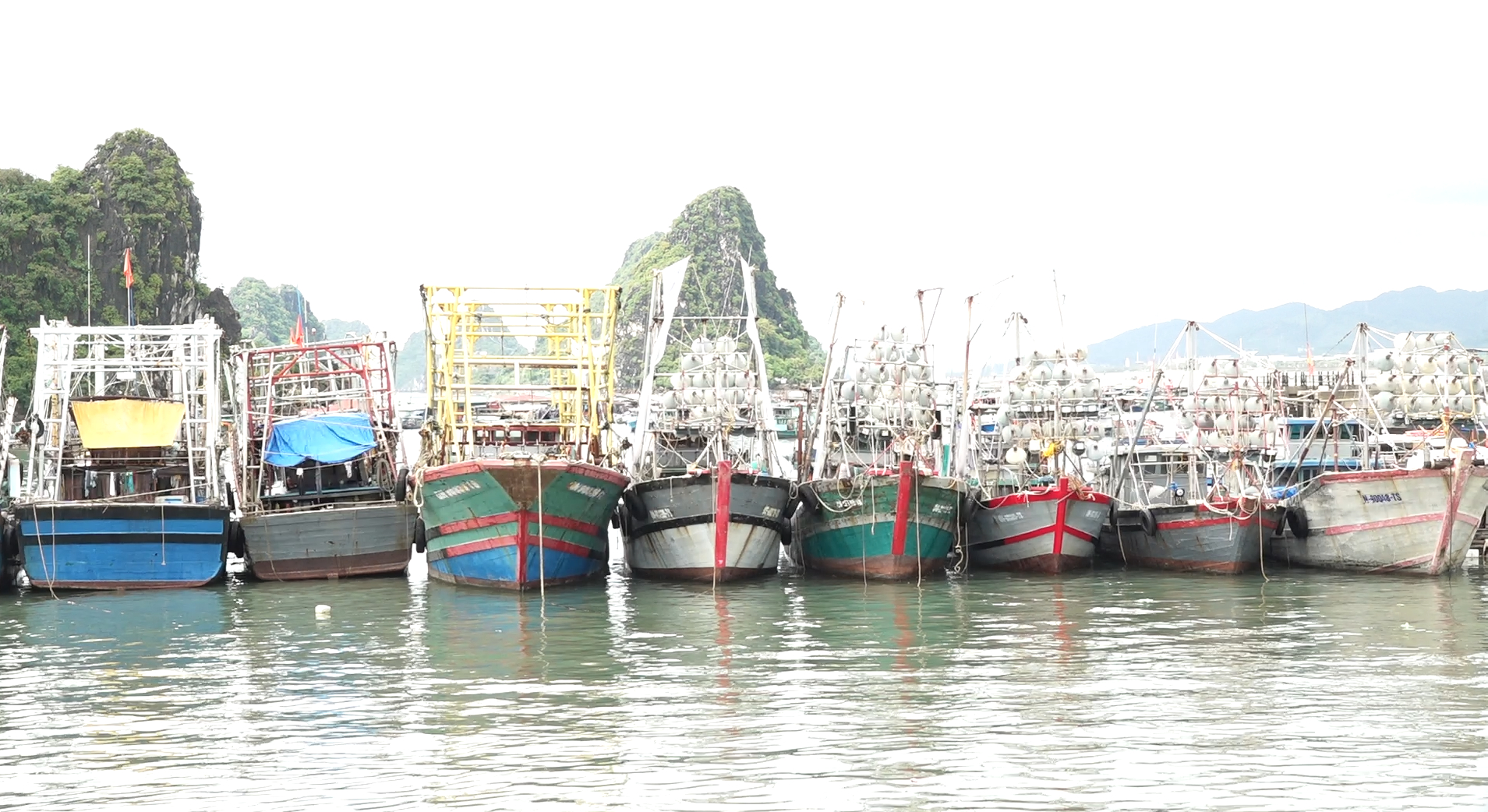 Quảng Ninh hiện có 265 tàu có chiều dài trên 15m, khai thác vùng khơi. Ảnh: Nguyễn Thành. Quảng Ninh hiện có 265 tàu có chiều dài trên 15m, khai thác vùng khơi. Ảnh: Nguyễn Thành.