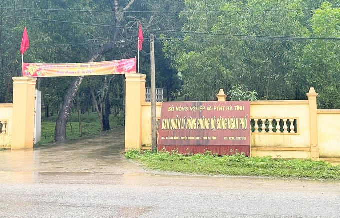 rph-111041_523.jpg Đại bộ phận cán bộ, người lao động và cơ quan quản lý nhà nước cho rằng, đặt trụ sở tại Ban Ngàn Phố sẽ giúp công tác bảo vệ rừng hiệu quả. Ảnh: Thanh Nga.