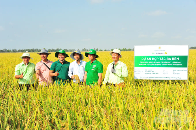 anh-1-111100_770-111102.jpg Mô hình hợp tác 3 bên thực hiện 3ha tại xã Tân Công Sính, huyện Tam Nông, tỉnh Đồng Tháp. Ảnh: Lê Hoàng Vũ.