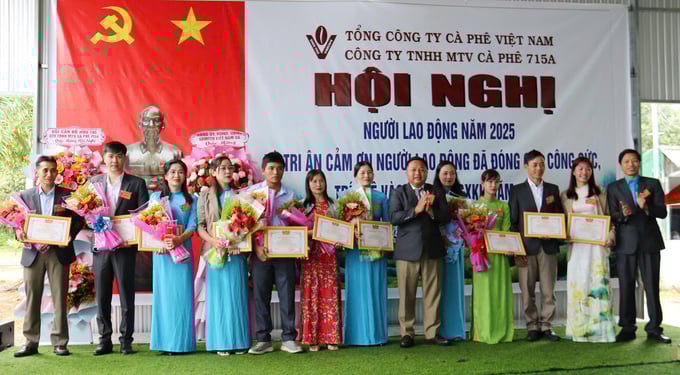 doanh-thu-cong-ty-tnhh-mtv-ca-phe-715a-tang-1733-142150_680.jpg Công nhân lao động tiên tiến nhận giấy khen của Công ty TNHH MTV Cà phê 715A. Ảnh: Ngọc Thăng.