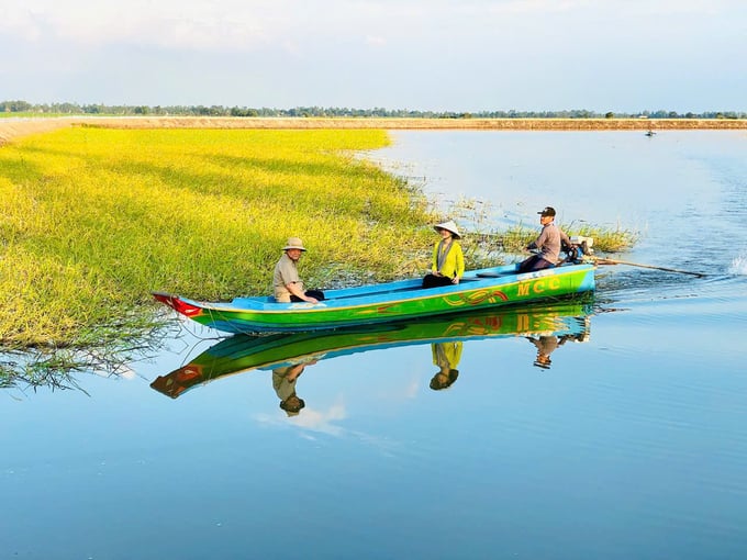 le-minh-hoan--mot-chinh-khach-tam-huyet-141948_825.jpg