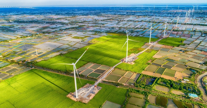 It is necessary to develop a comprehensive green strategy for the entire agricultural sector. Photo: Hong Tham.