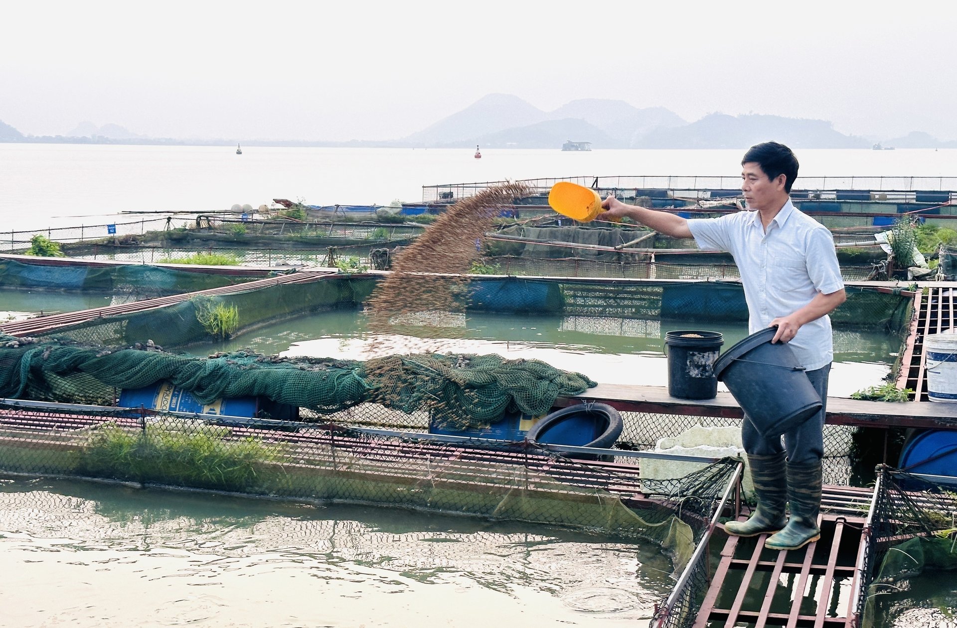 Ông Nguyễn Danh Tuyên, Giám đốc Hợp tác xã Nông lâm thủy sản Đại Từ. Ảnh: Quang Linh. Ông Nguyễn Danh Tuyên, Giám đốc Hợp tác xã Nông lâm thủy sản Đại Từ. Ảnh: Quang Linh.