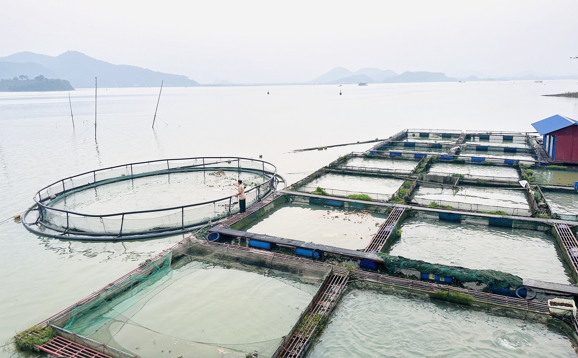 Hồ Núi Cốc có tiềm năng lớn về phát triển nuôi cá lồng. Ảnh: Quang Linh. Hồ Núi Cốc có tiềm năng lớn về phát triển nuôi cá lồng. Ảnh: Quang Linh.