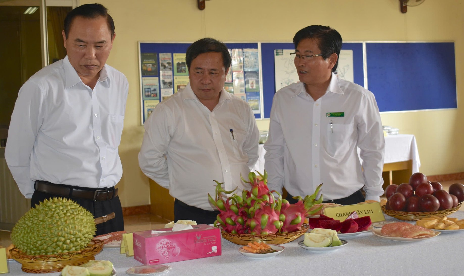 GS.TS Nguyễn Hồng Sơn (giữa) cùng Thứ trưởng Bộ Nông nghiệp và Môi trường Phùng Đức Tiến (bìa trái) thăm và làm việc với Viện Cây ăn quả miền Nam. Ảnh: Minh Đãm. GS.TS Nguyễn Hồng Sơn (giữa) cùng Thứ trưởng Bộ Nông nghiệp và Môi trường Phùng Đức Tiến (bìa trái) thăm và làm việc với Viện Cây ăn quả miền Nam. Ảnh: Minh Đãm.