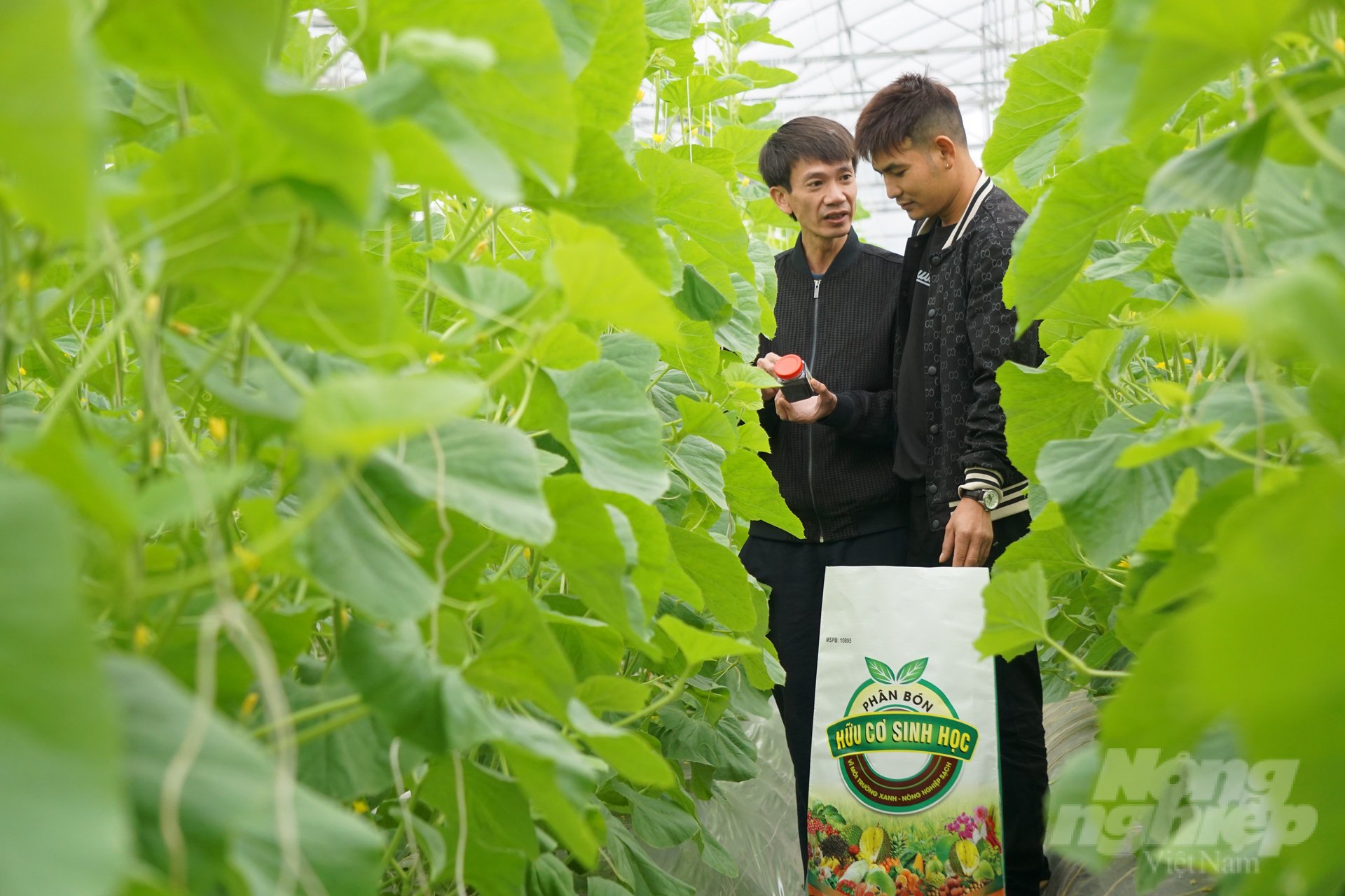 Sản phẩm phân bón hữu cơ giúp cung cấp chất hữu cơ và các chất đa, trung, vi lượng, giúp đất tơi xốp, thoáng khí và cung cấp hệ vi sinh vật có lợi cho cây trồng. Ảnh: Quốc Toản.