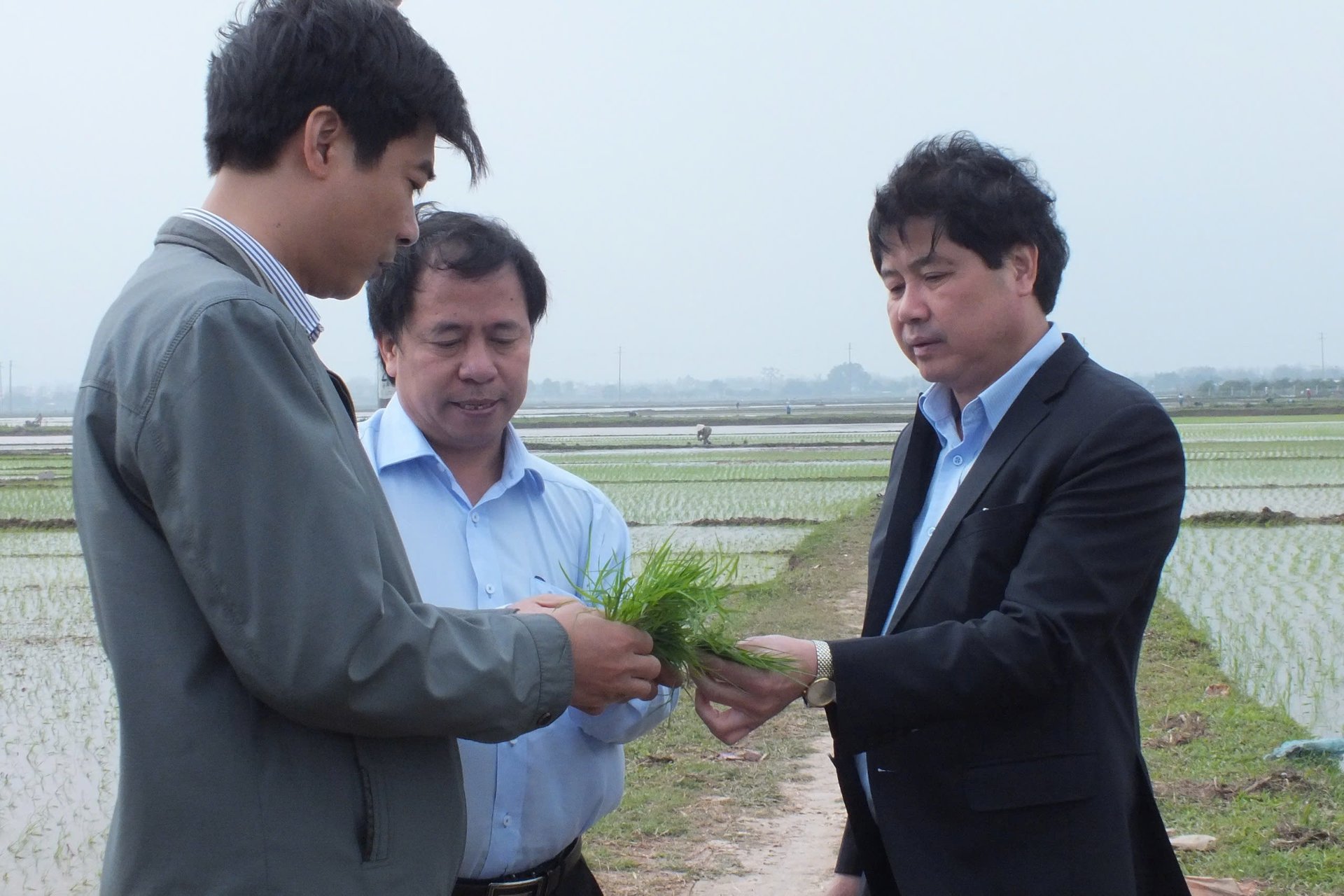GS.TS Nguyễn Hồng Sơn (giữa) cùng nguyên Thứ trưởng Bộ NN-PTNT Lê Quốc Doanh (bìa phải) trong một lần đi kiểm tra sản xuất lúa ở phía Bắc. Ảnh: Lê Bền. GS.TS Nguyễn Hồng Sơn (giữa) cùng nguyên Thứ trưởng Bộ NN-PTNT Lê Quốc Doanh (bìa phải) trong một lần đi kiểm tra sản xuất lúa ở phía Bắc. Ảnh: Lê Bền.