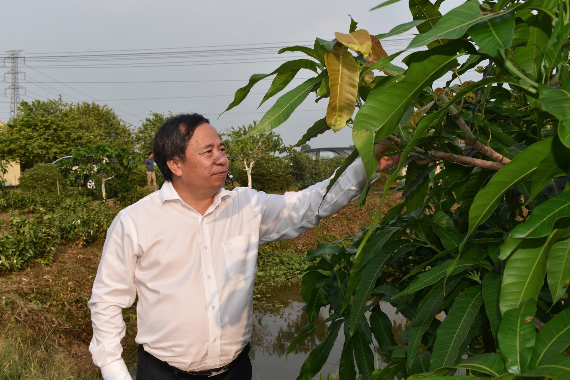 GS.TS Nguyễn Hồng Sơn kiểm tra phát triển cây ăn quả tại các tỉnh ĐBSCL. Ảnh: Minh Đãm. GS.TS Nguyễn Hồng Sơn kiểm tra phát triển cây ăn quả tại các tỉnh ĐBSCL. Ảnh: Minh Đãm.