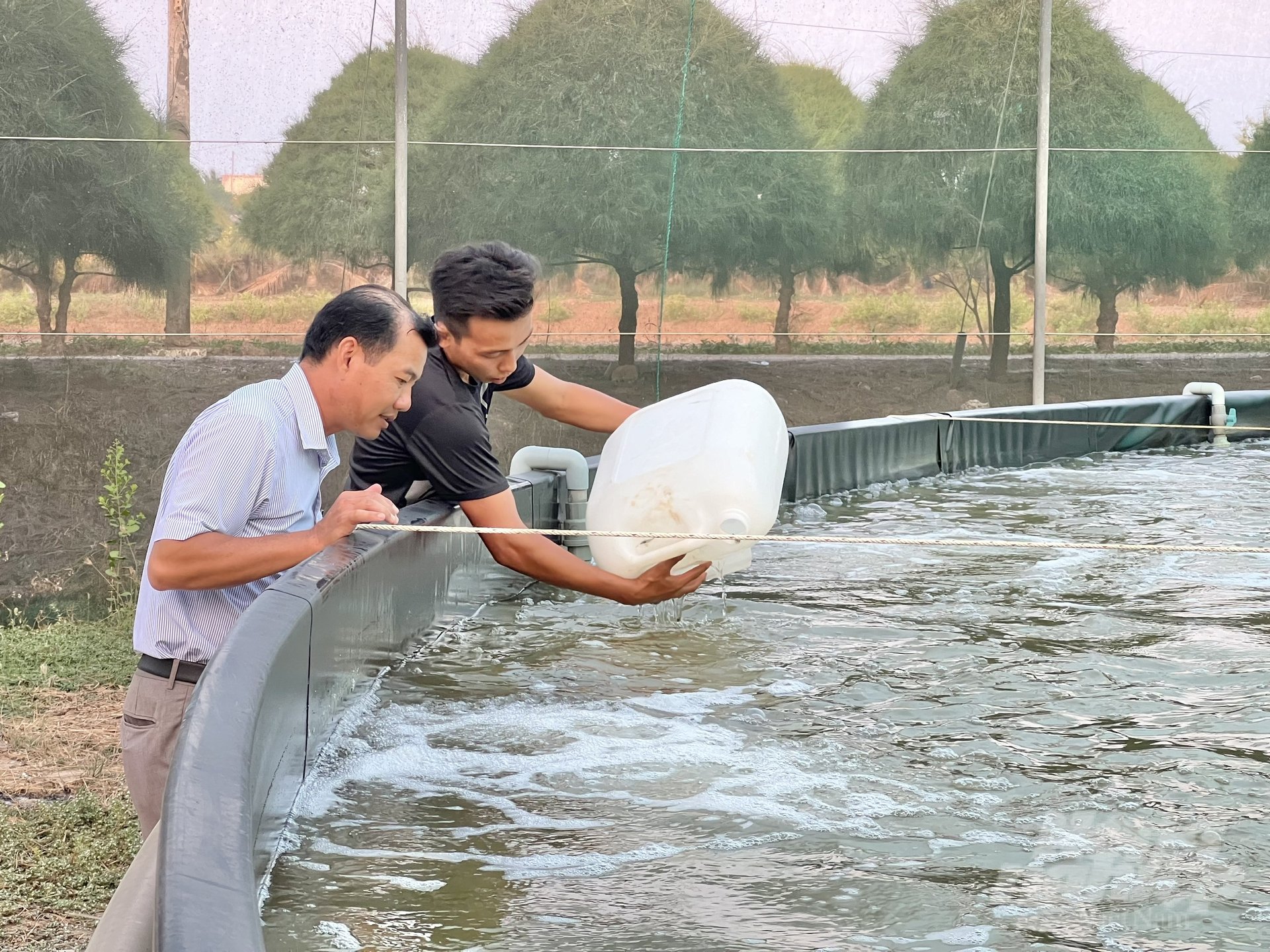 z6396101443593_5f6e75b04462c2696f52b5f4a0323aed-154030_108-154031.jpg Ông Nghĩa kiểm tra tôm giống trước khi thả nuôi. Ảnh: Trọng Linh.