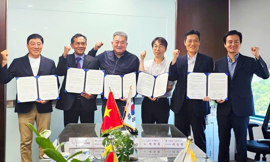 anh-3-143626_326.jpg Lãnh đạo đại diện Sitto Việt Nam, Neulpureun và chính quyền tỉnh Gyeongsangbuk-do Hàn Quốc ký kết hợp tác. Ảnh: Lê Minh Quốc.