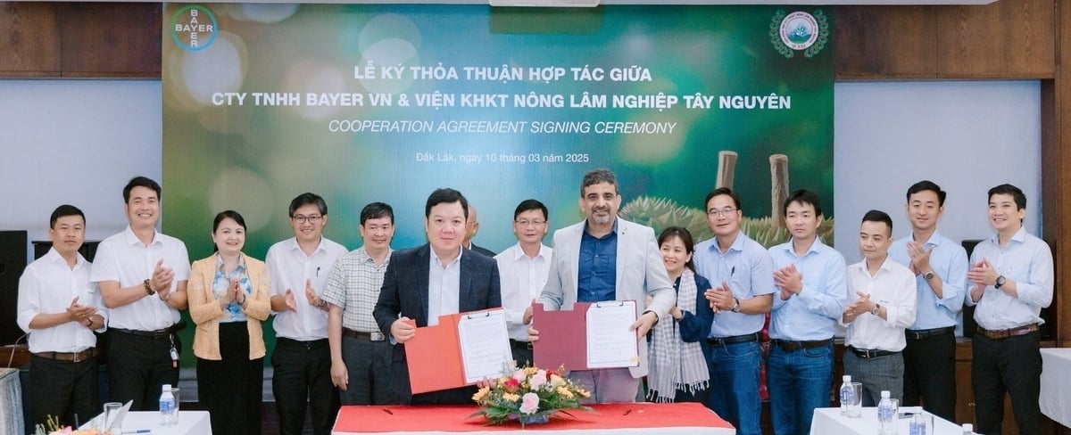 Bayer and WASI entered into a partnership to promote sustainable farming in the Central Highlands. Photo: Nguyen Bao.