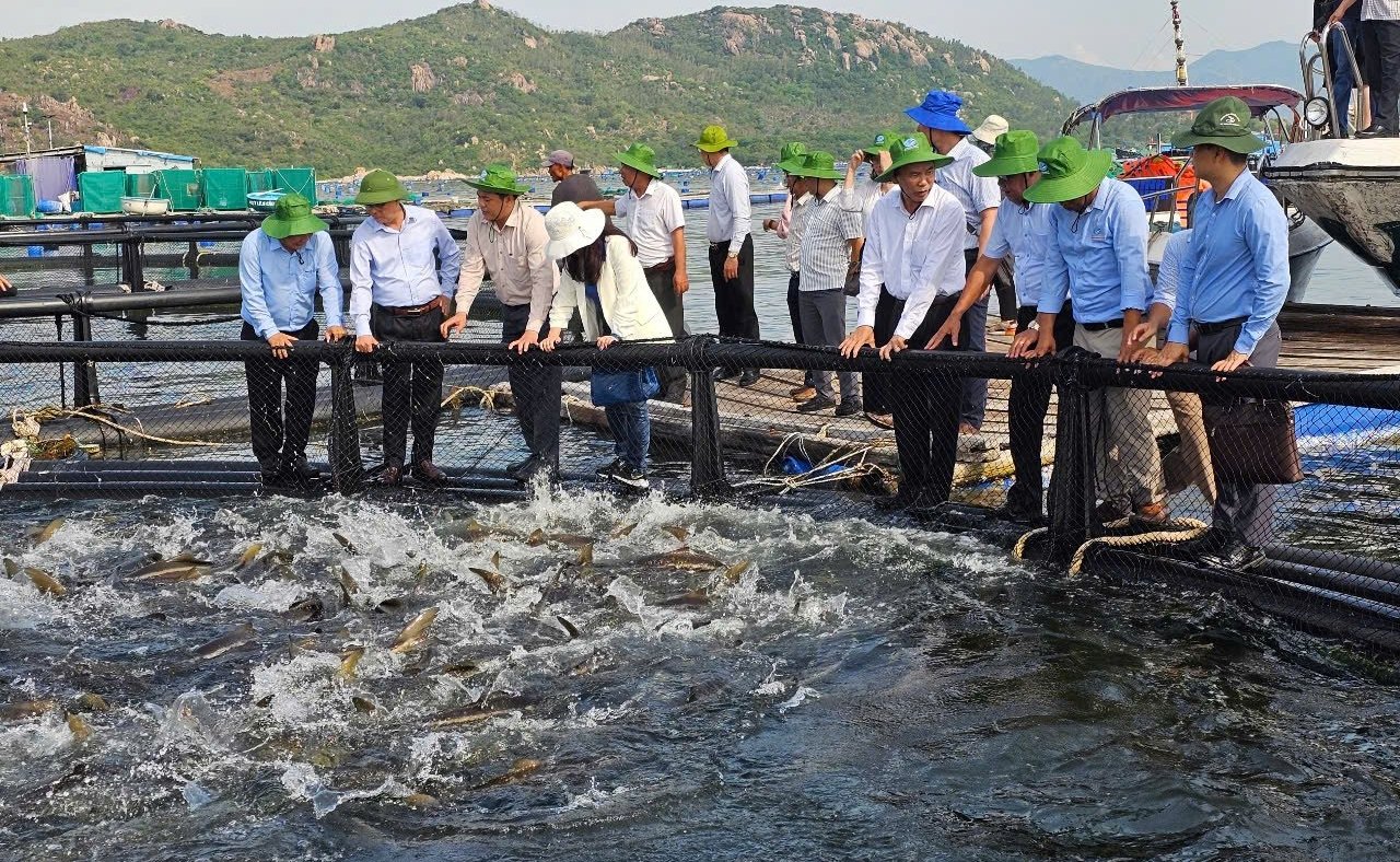 Khánh Hòa có nhiều tiềm năng phát triển kinh tế biển. Ảnh: KS. Khánh Hòa có nhiều tiềm năng phát triển kinh tế biển. Ảnh: KS.