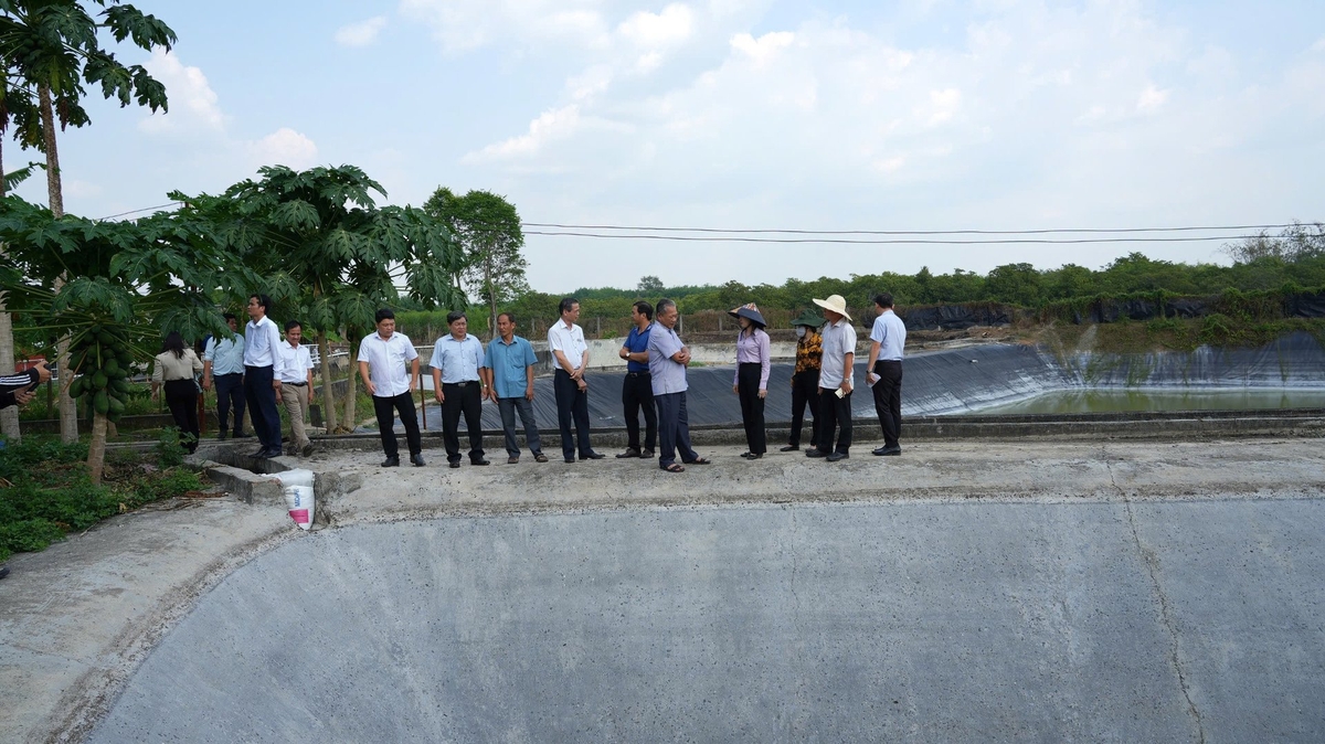 5a21f04889c9389761d8-211502_703 Đoàn thực hiện khảo sát quy trình xử lý nước thải tại doanh nghiệp chăn nuôi lợn.