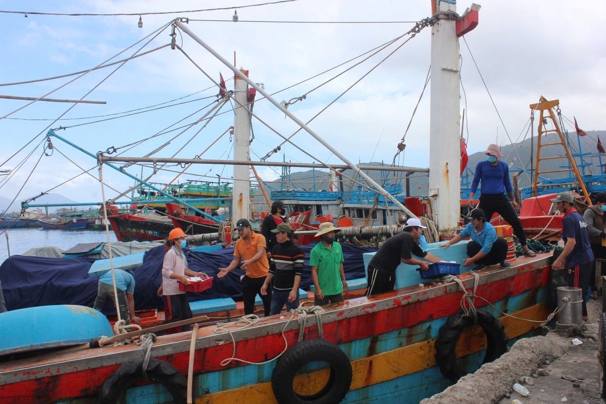 z6405275115704_ad9fe44c94365b0c2e5b433e18573826-105946_102.jpg TP. Đà Nẵng chung tay với cả nước gỡ thẻ vàng của EC. Ảnh: M.T