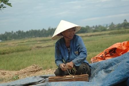 a2-084717_88.jpg Người dân xã nghèo Quảng Vinh phải góp thóc để nuôi bộ máy cán bộ khổng lồ.