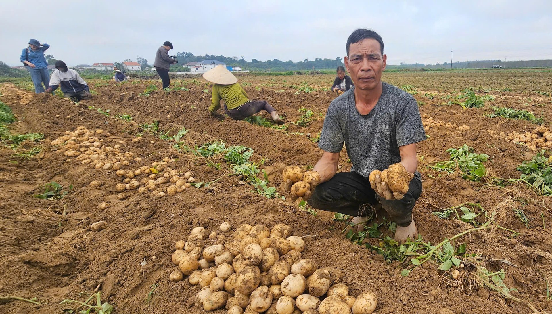 Ông Võ Văn Sơn chia sẻ: 'Đưa khoai tây vào vùng đất cát pha mở cho bà con hướng đi mới để tăng thu nhập'. Ảnh: Việt Khánh. Ông Võ Văn Sơn chia sẻ: 'Đưa khoai tây vào vùng đất cát pha mở cho bà con hướng đi mới để tăng thu nhập'. Ảnh: Việt Khánh.