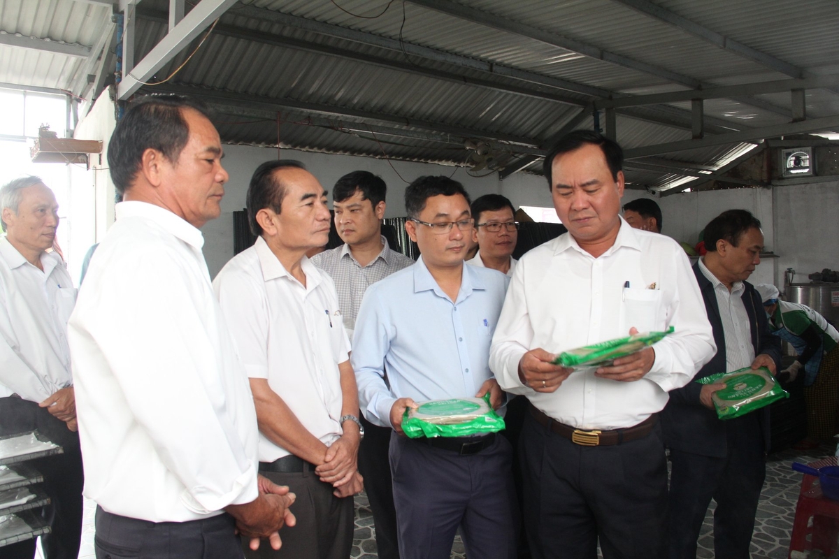 Thứ trưởng Bộ Nông Nghiệp và Môi trường Võ Văn Hưng khảo sát hoạt động sản xuất ở HTX Nông nghiệp Ái Nghĩa (huyện Đại Lộc, Quảng Nam). Ảnh: L.K. Thứ trưởng Bộ Nông Nghiệp và Môi trường Võ Văn Hưng khảo sát hoạt động sản xuất ở HTX Nông nghiệp Ái Nghĩa (huyện Đại Lộc, Quảng Nam). Ảnh: L.K.