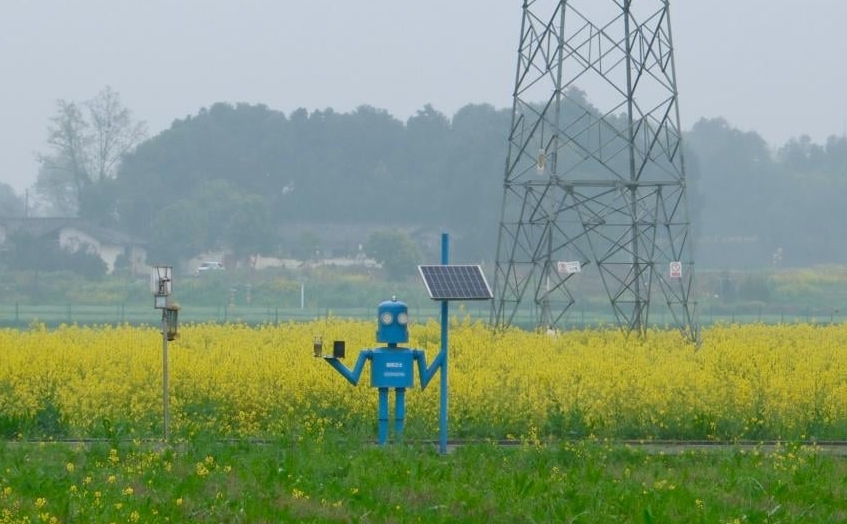 Robot A Lai đang thực hiện nhiệm vụ trên cánh đồng hoa cải dầu tại Thành Đô, Trung Quốc. Ảnh: Xinhua. Robot A Lai đang thực hiện nhiệm vụ trên cánh đồng hoa cải dầu tại Thành Đô, Trung Quốc. Ảnh: Xinhua.