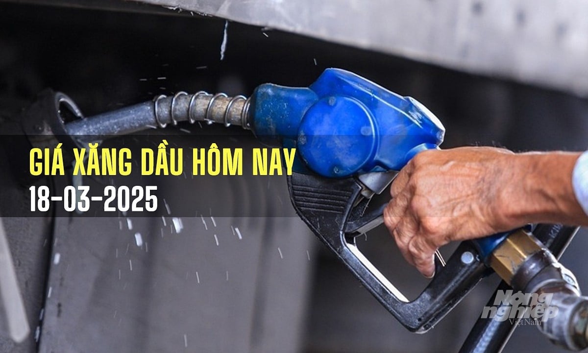 gia-xang-dau-hom-nay-18-3-2025-220341_475.jpg Giá cả thị trường xăng dầu trong nước và thế giới ngày 18/3/2025 mới nhất