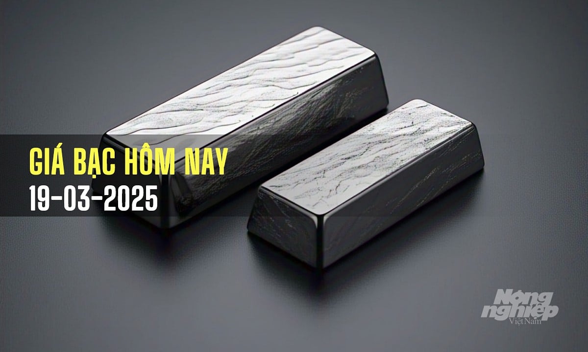 Cập nhật giá bạc trong nước và thế giới mới nhất ngày 19/3/2025 Cập nhật giá bạc trong nước và thế giới mới nhất ngày 19/3/2025