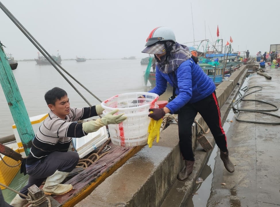 Chính sách hỗ trợ mới đang được hoàn thiện sẽ khắc phục được những hạn chế của Nghị quyết 15 và một số chính sách cũ khác, hỗ trợ tốt hơn cho ngư dân. Ảnh: Đinh Mười. Chính sách hỗ trợ mới đang được hoàn thiện sẽ khắc phục được những hạn chế của Nghị quyết 15 và một số chính sách cũ khác, hỗ trợ tốt hơn cho ngư dân. Ảnh: Đinh Mười.