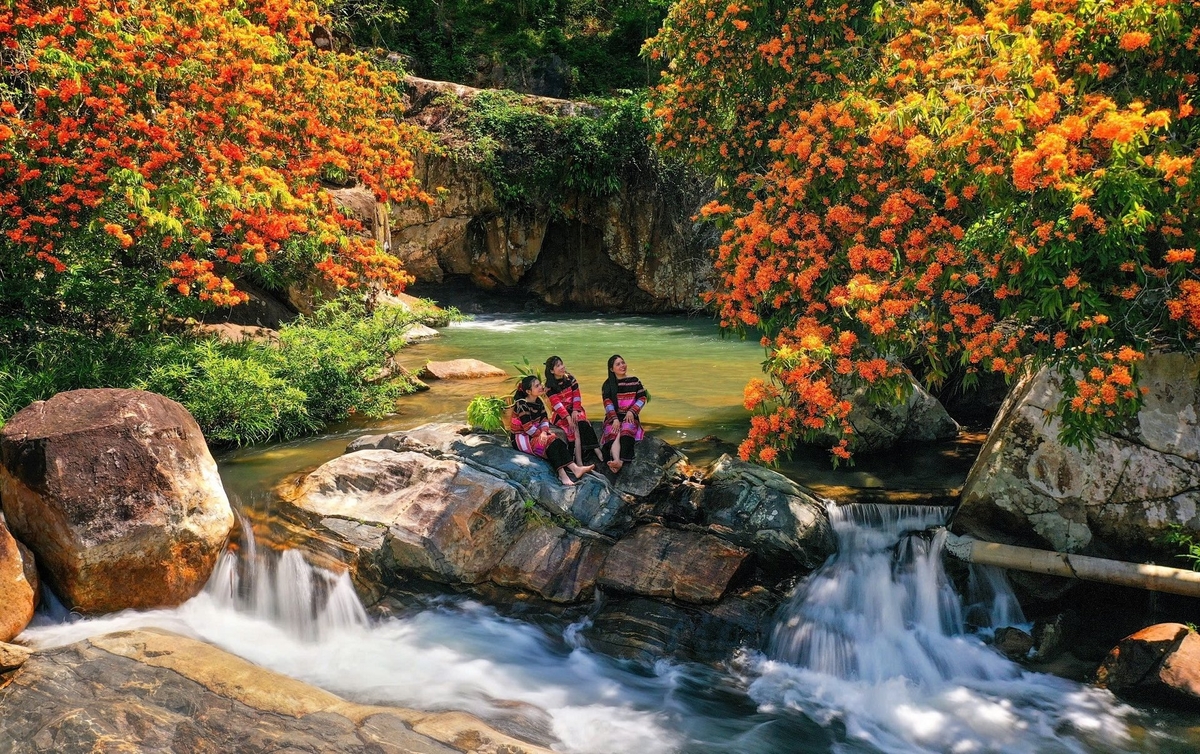 Hoa trang nở rực hai bên suối Tà Má thu hút du khách khắp nơi về thưởng ngoạn. Ảnh: V.Đ.T. Hoa trang nở rực hai bên suối Tà Má thu hút du khách khắp nơi về thưởng ngoạn. Ảnh: V.Đ.T.