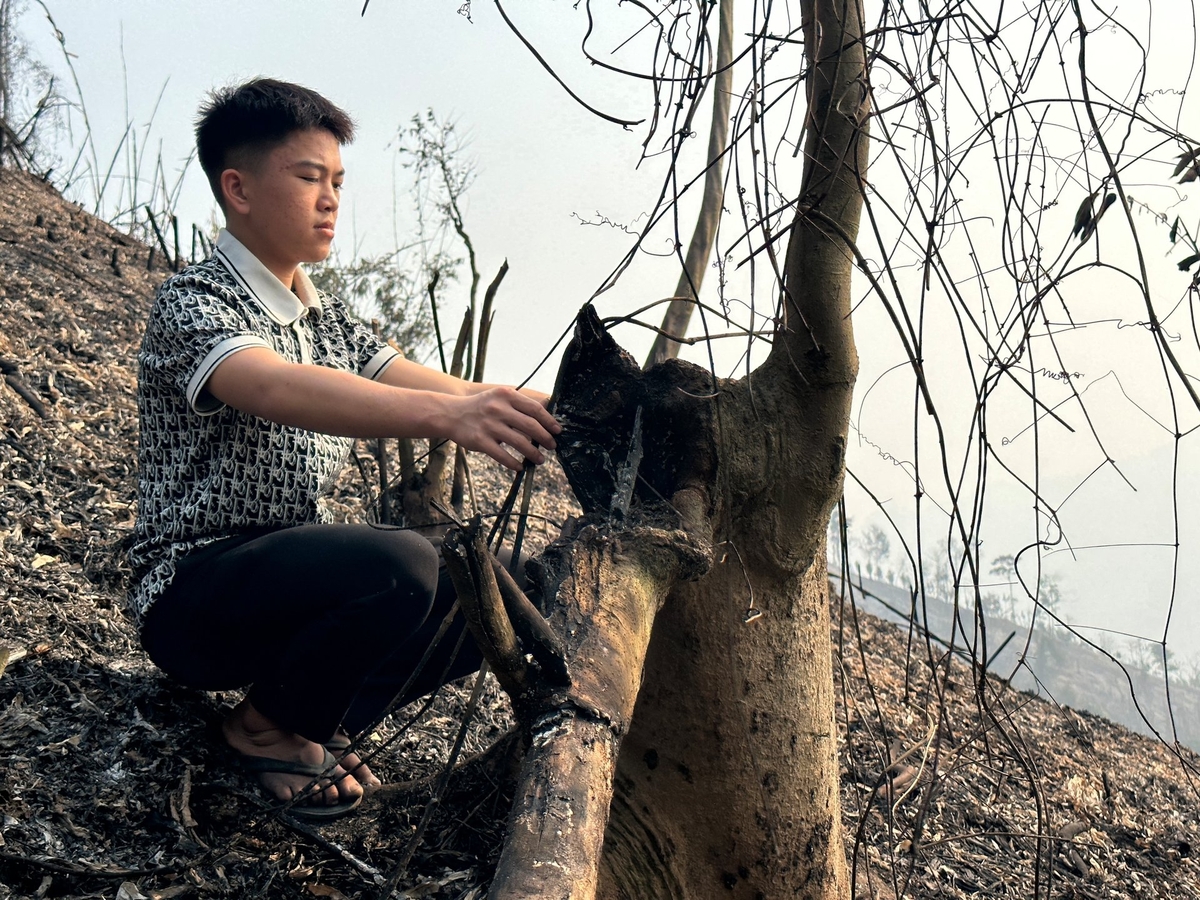 Hiện trường vụ cháy rừng tại xóm Khuôn Tát, xã Phú Đình, huyện Định Hóa. Ảnh: Quang Linh. Hiện trường vụ cháy rừng tại xóm Khuôn Tát, xã Phú Đình, huyện Định Hóa. Ảnh: Quang Linh.