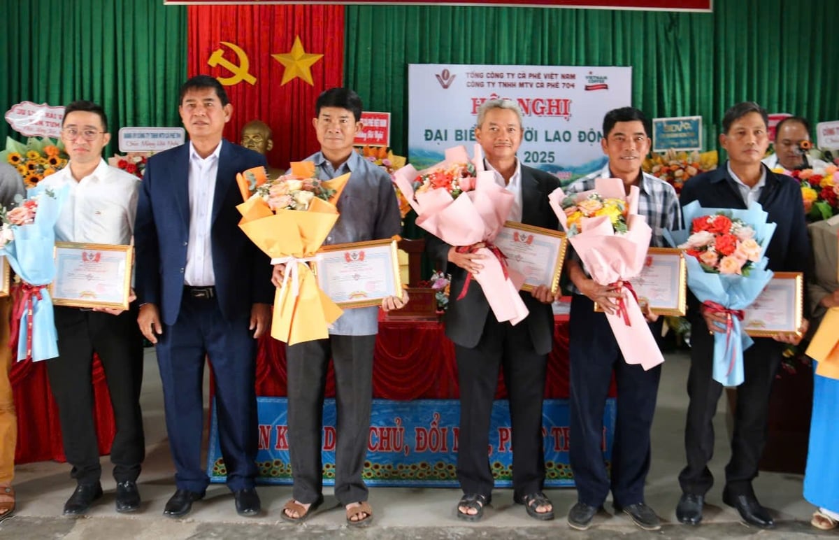 Trao giấy khen cho công nhân lao động tiên tiến. Ảnh: Ngọc Thăng. Trao giấy khen cho công nhân lao động tiên tiến. Ảnh: Ngọc Thăng.