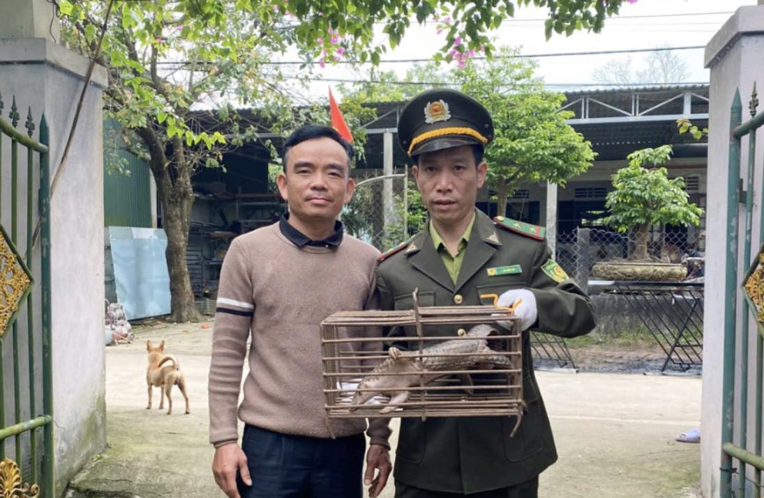 Kiểm lâm tiếp nhận cá thể Têtê java từ người dân. Ảnh: Kiểm lâm TP. Huế. Kiểm lâm tiếp nhận cá thể Têtê java từ người dân. Ảnh: Kiểm lâm TP. Huế.