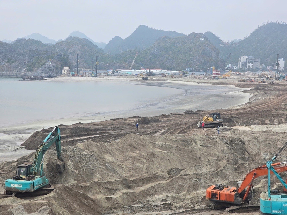 Seagrass beds in coastal areas, which are recognized for their capacity to accumulate significant quantities of carbon, have been significantly affected by industrial expansion and urbanization. Photo: VAN.