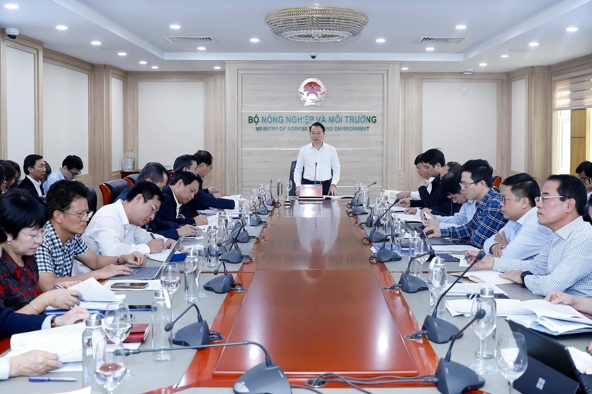 Bộ trưởng Đỗ Đức Duy chủ trì cuộc họp với Cục Môi trường chiều 25/3. Ảnh: Khương Trung.