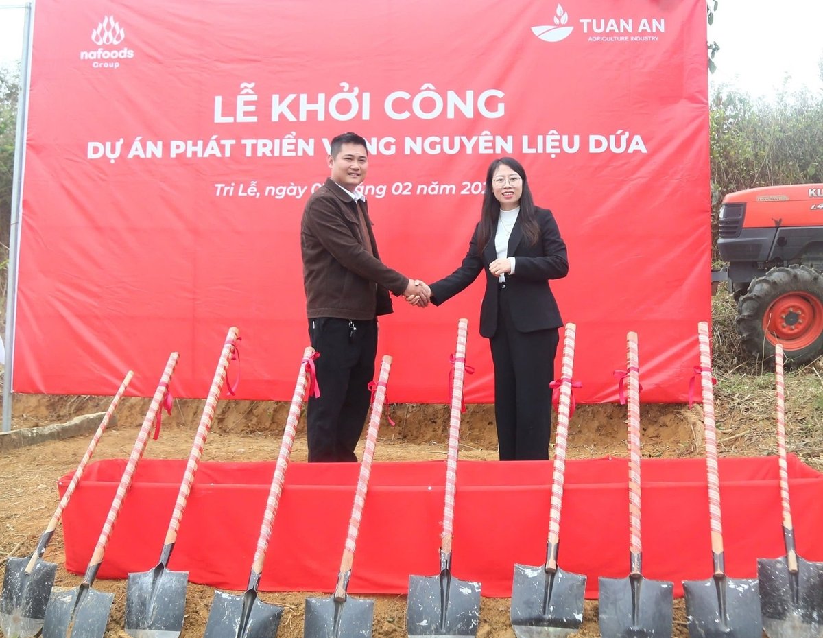 Công ty Tuấn An và Nafoods thể hiện tham vọng thông qua dự án phát triển vùng nguyên liệu dứa tại xã Tri Lễ, huyện Quế Phong. Ảnh: Việt Khánh. Công ty Tuấn An và Nafoods thể hiện tham vọng thông qua dự án phát triển vùng nguyên liệu dứa tại xã Tri Lễ, huyện Quế Phong. Ảnh: Việt Khánh.