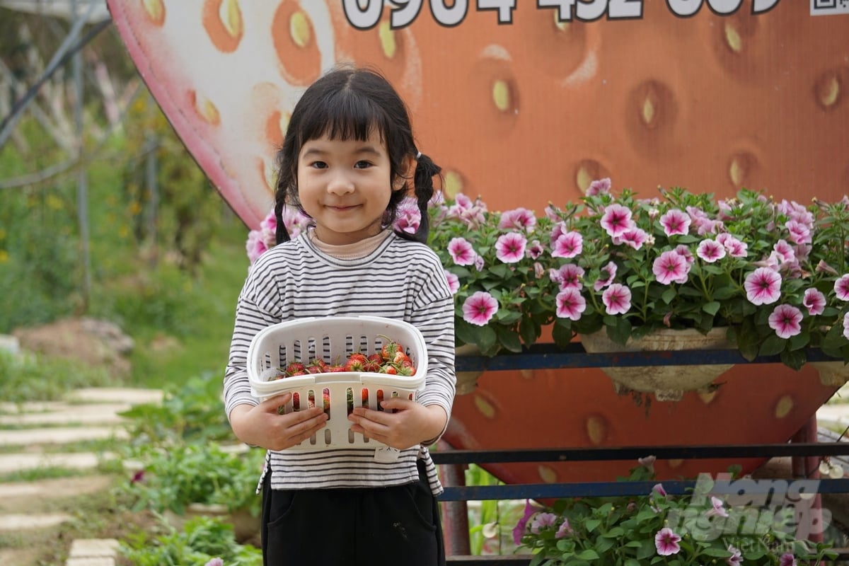 Trẻ em thích thú khi được trải nghiệm tại nông trại Trang Farm. Ảnh: Quốc Toản.