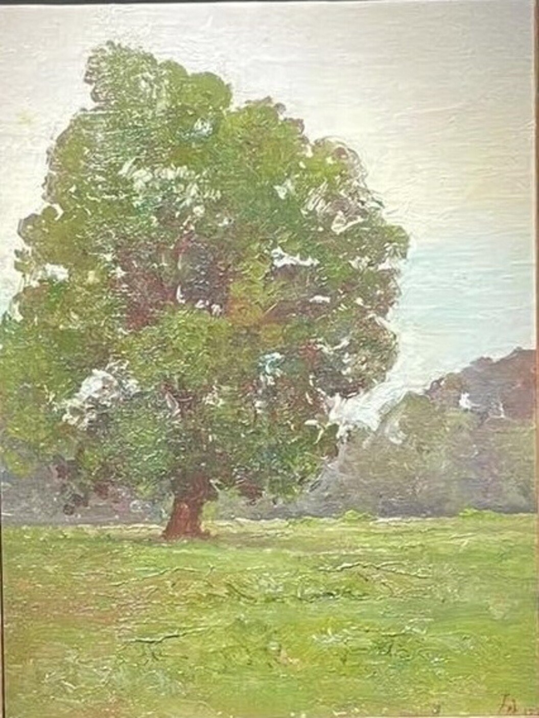 'Cây sồi cổ thụ'. 'Cây sồi cổ thụ'.